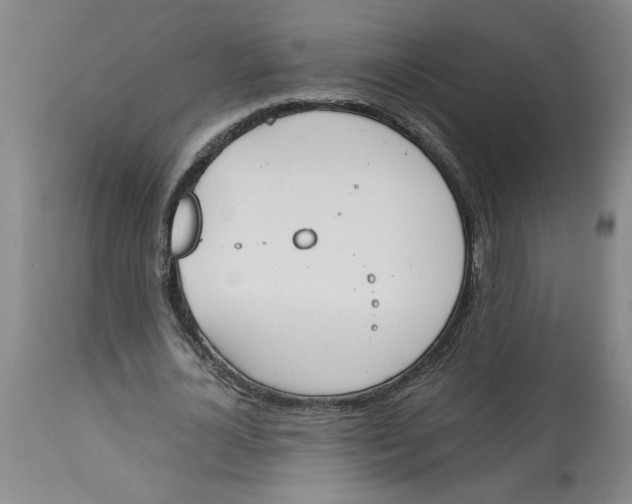 X0000113170724200909251416