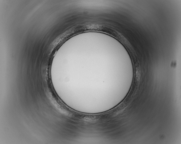 X0000113170725200909251416