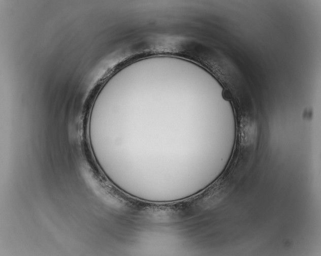 X0000113170726200909251416