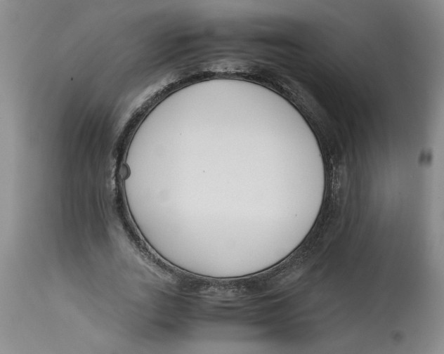 X0000113170727200909251416