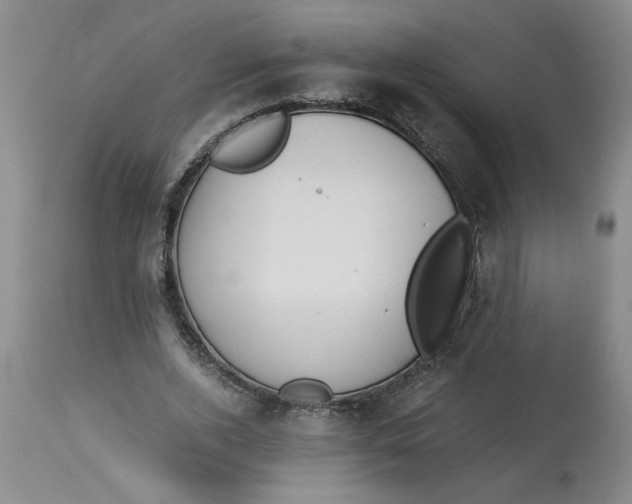 X0000113170728200909251416