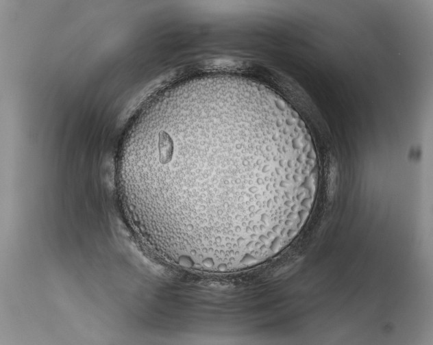 X0000113170729200909251416