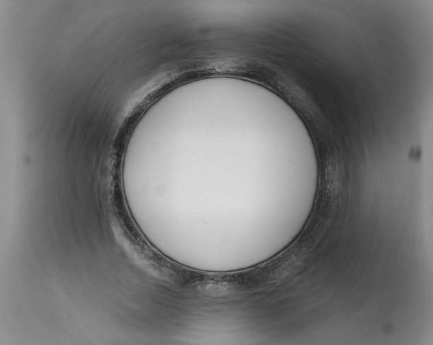 X0000113170730200909251416