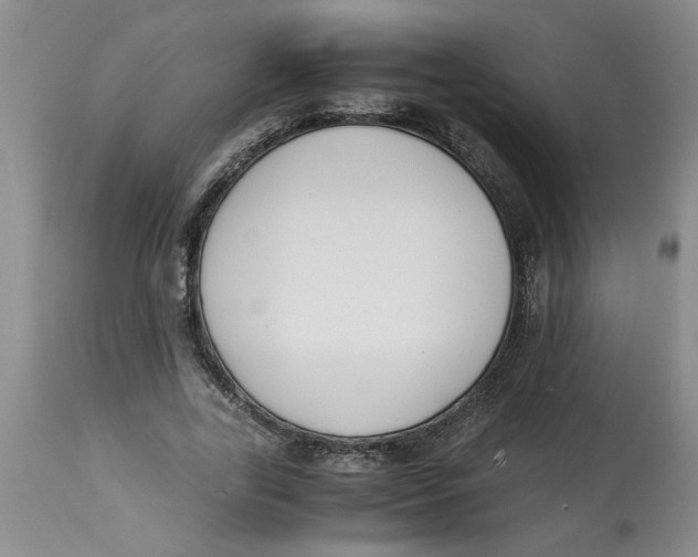 X0000113170731200909251416