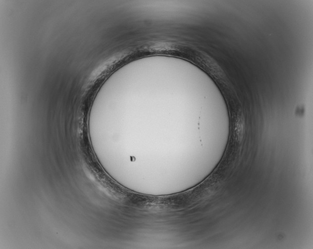 X0000113170732200909251416