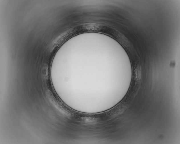 X0000113170733200909251416