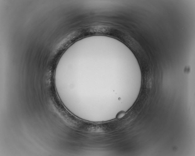 X0000113170735200909251416