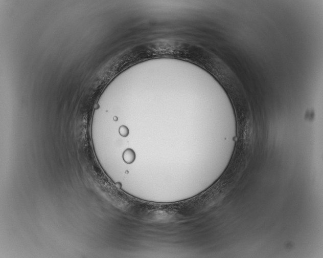 X0000113170737200909251416