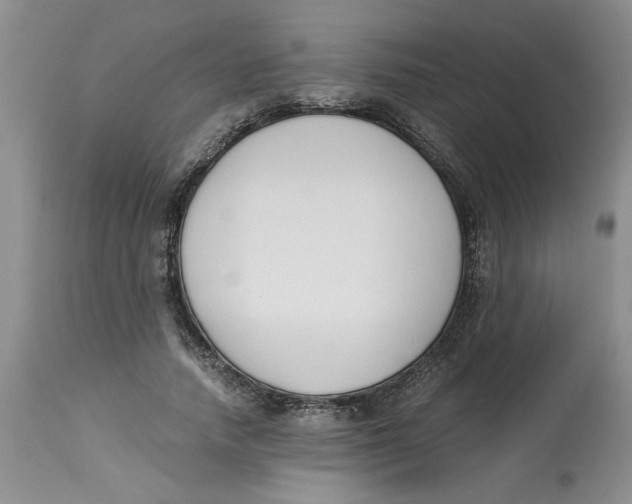 X0000113170738200909251416