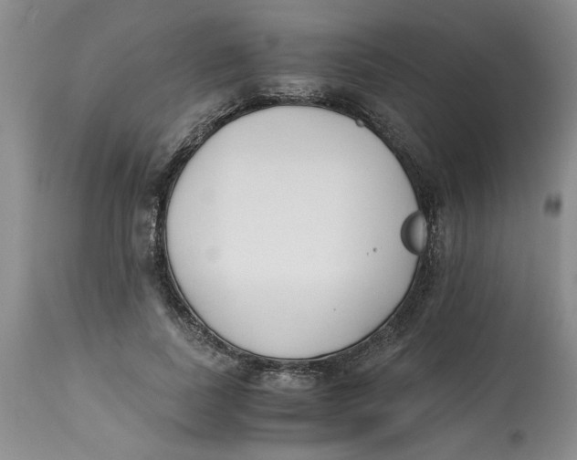 X0000113170739200909251416