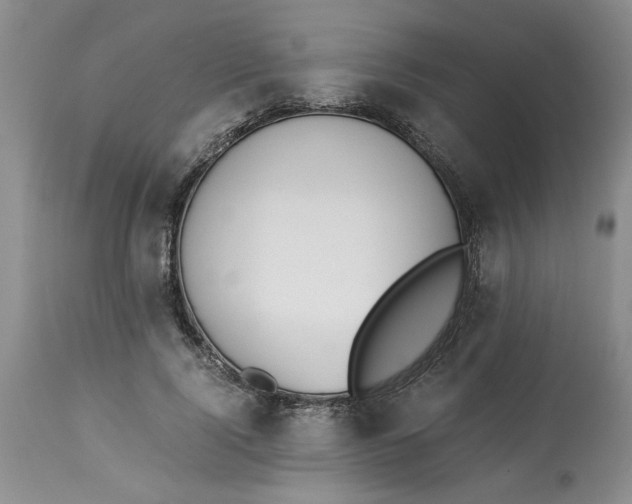 X0000113170740200909251416