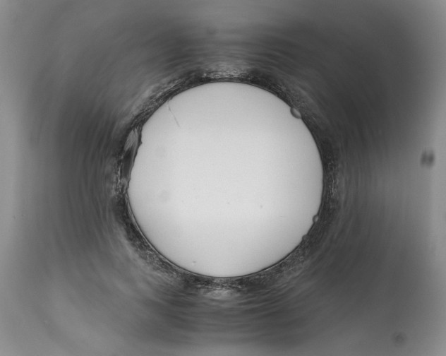 X0000113170743200909251417