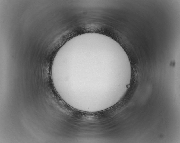 X0000113170745200909251417