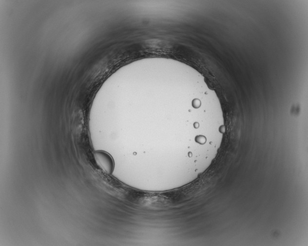 X0000113170752200909251417