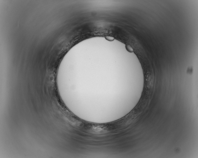 X0000113170753200909251417