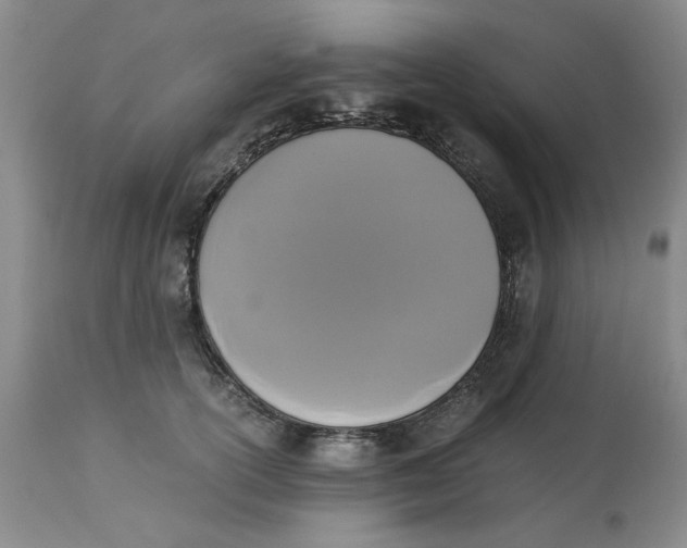 X0000113170754200909251417