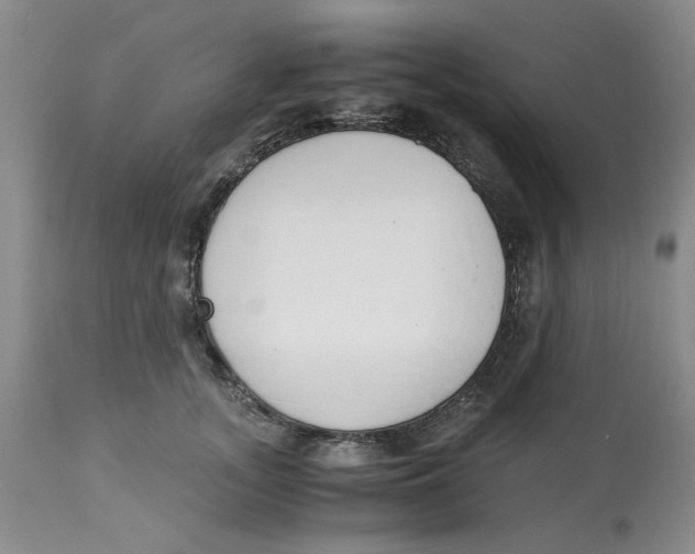 X0000113170755200909251417