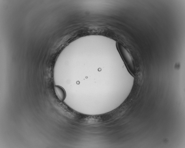 X0000113170756200909251417