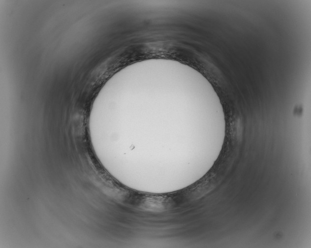 X0000113170757200909251417