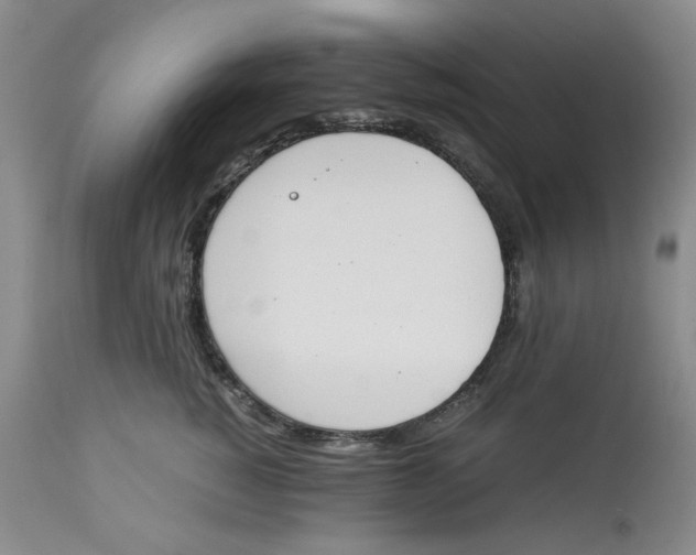 X0000113170760200909251417