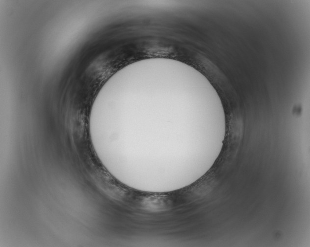 X0000113170761200909251417