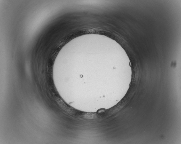 X0000113170762200909251417