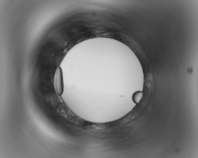 X0000113170763200909251417