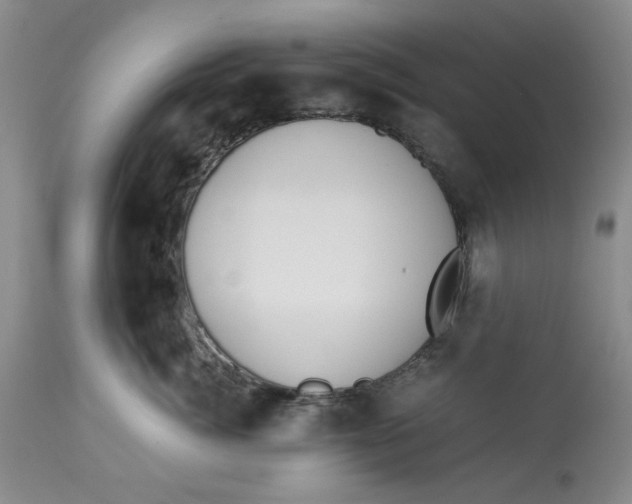 X0000113170764200909251417