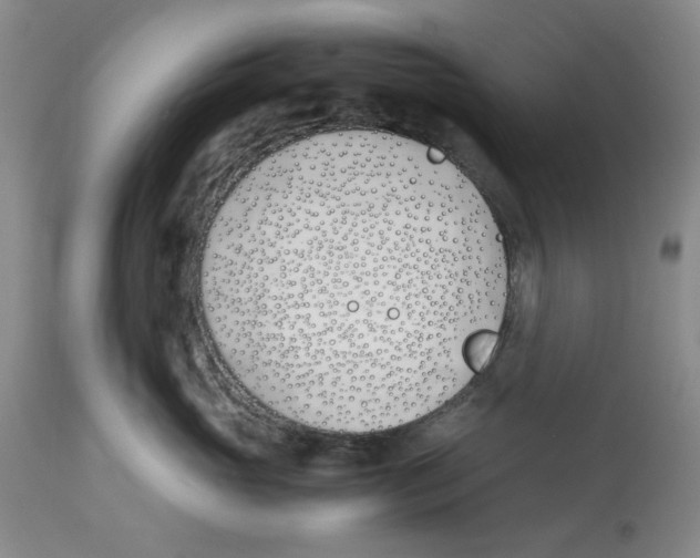 X0000113170765200909251417