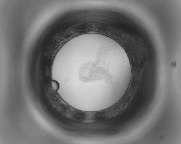 X0000113170766200909251417