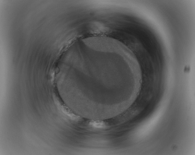 X0000113170767200909251417