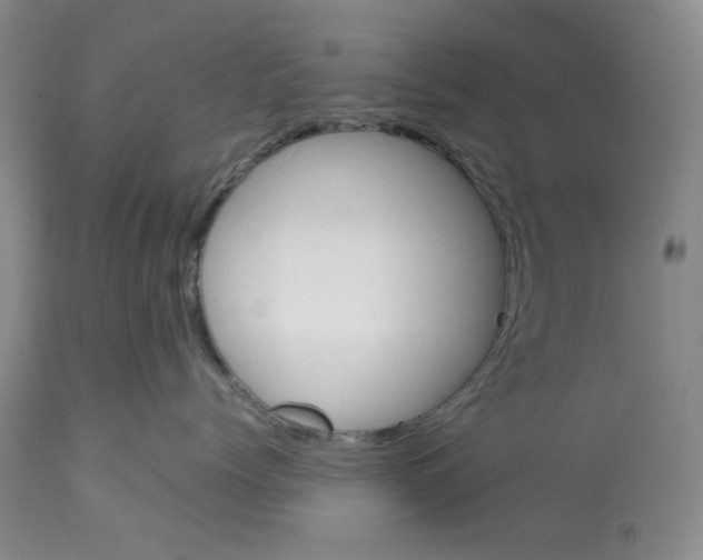 X0000113170768200909251417