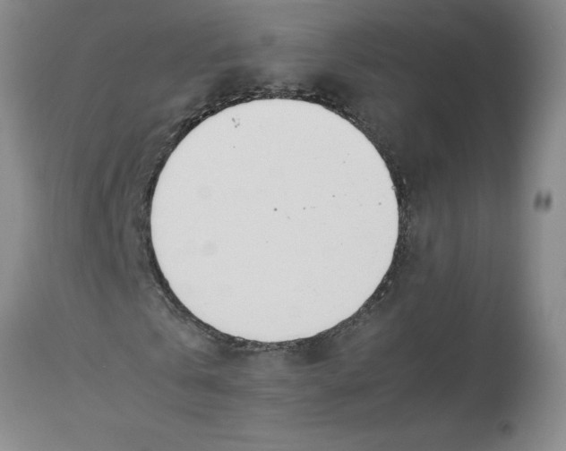 X0000113170769200909251416