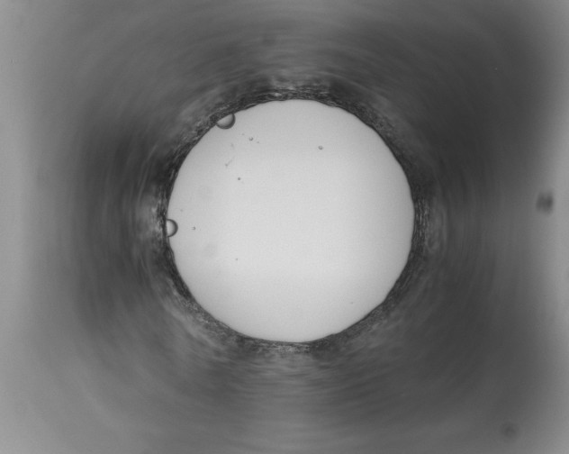 X0000113170770200909251416