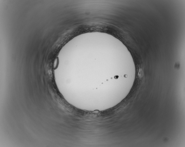 X0000113170771200909251416