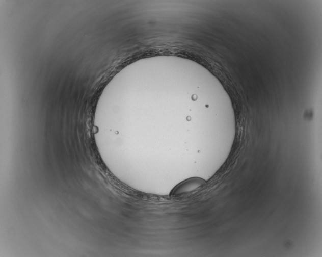 X0000113170772200909251416