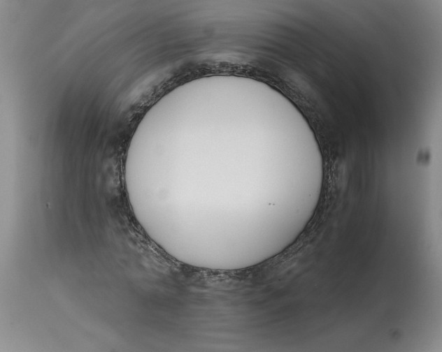 X0000113170774200909251416