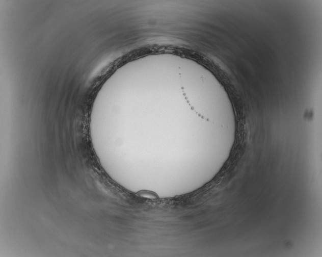 X0000113170775200909251416