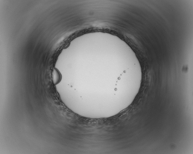 X0000113170776200909251416