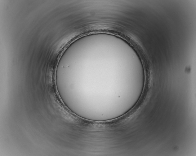 X0000113170777200909251416