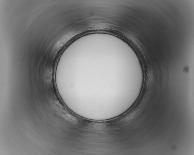 X0000113170778200909251416