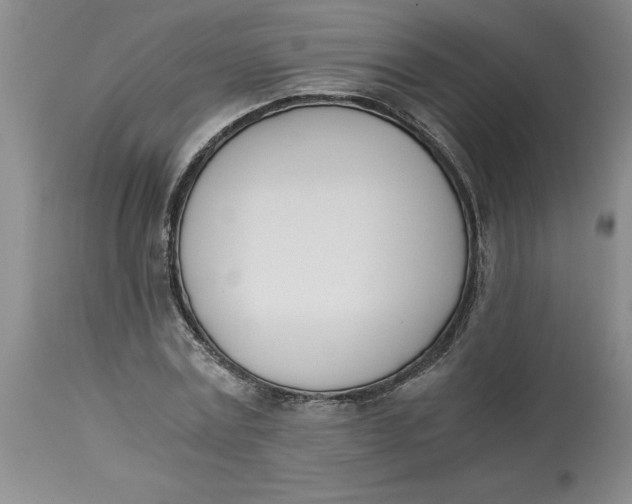 X0000113170779200909251416