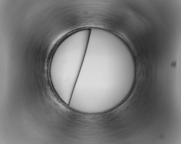 X0000113170780200909251416