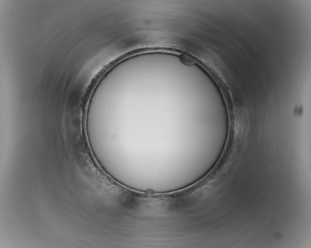 X0000113170781200909251416