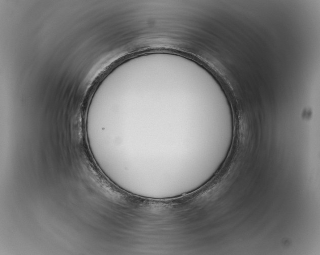 X0000113170782200909251416