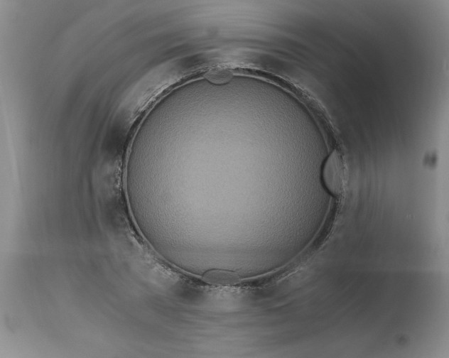 X0000113170785200909251416