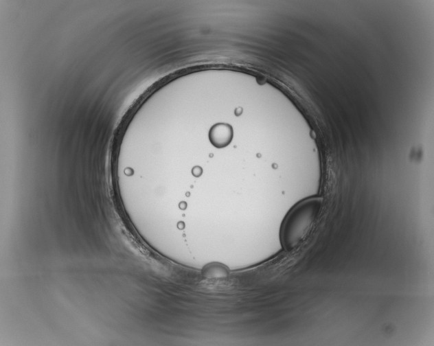 X0000113170788200909251416