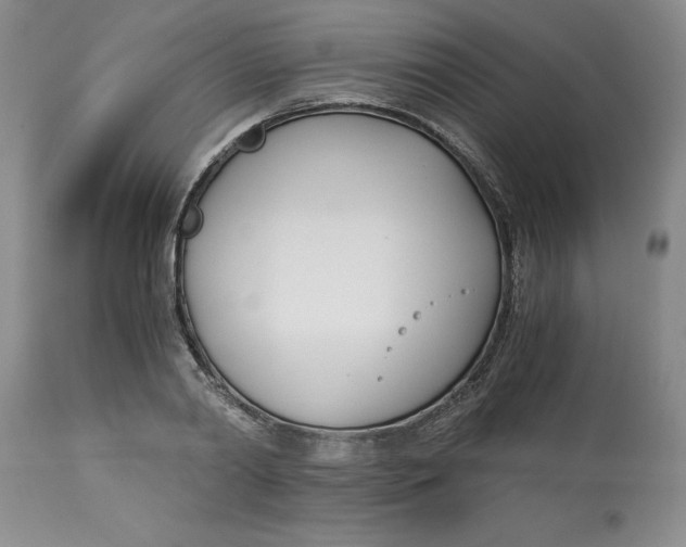 X0000113170790200909251416