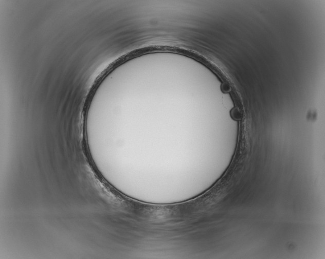 X0000113170791200909251416