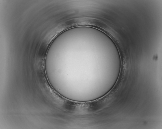 X0000113170793200909251416